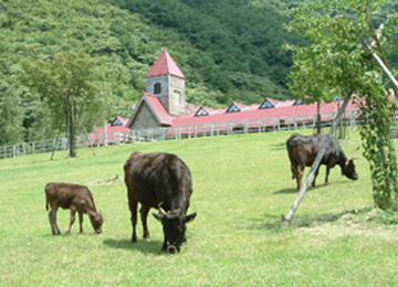 但馬牧場公園