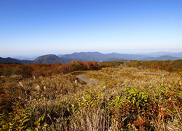 上山高原