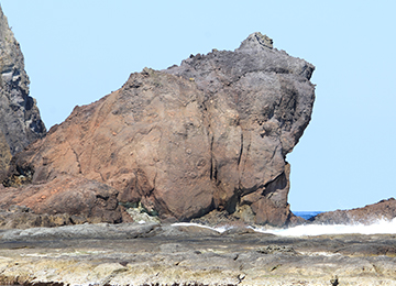 かえる島