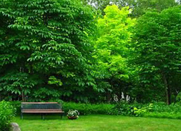 但馬高原植物園